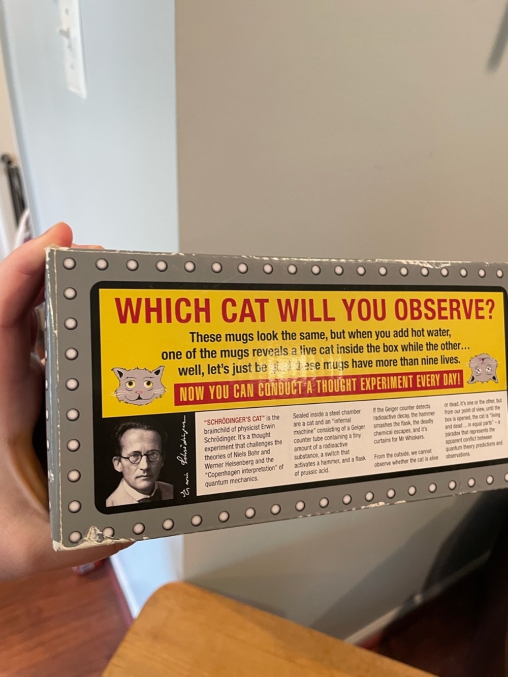 Schrödinger’s Cat Mug Set 
The Unemployed Philosophers Guild 
Like New - Picture 12 of 13